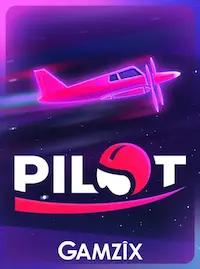 Pilot crash game at BMW BAT COM
